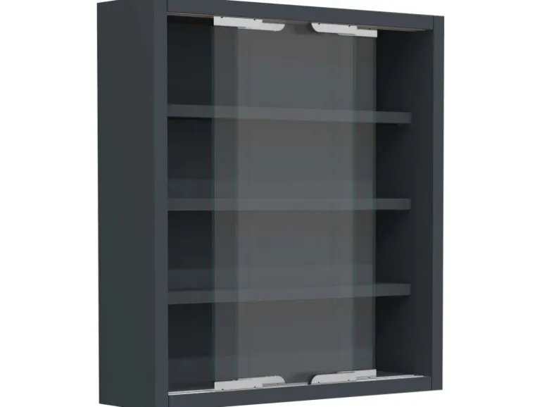 ebuy24 AgisaS Glasvitrinen Wandhängend 2 Schiebetüren Anthrazit