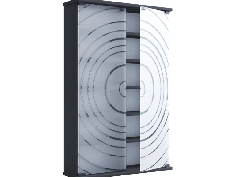 ebuy24 TilanoL Vitrinenschrank CD DVD 6 Ablagen 2 Türen Anthrazit