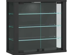 ebuy24 VitrosaS Vitrinenschrank Wandhängend 2 Glastüren Anthrazit