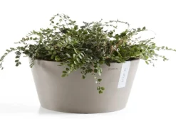 Ecopots Pflanzschale Frankfurt Braungrau 30 cm
