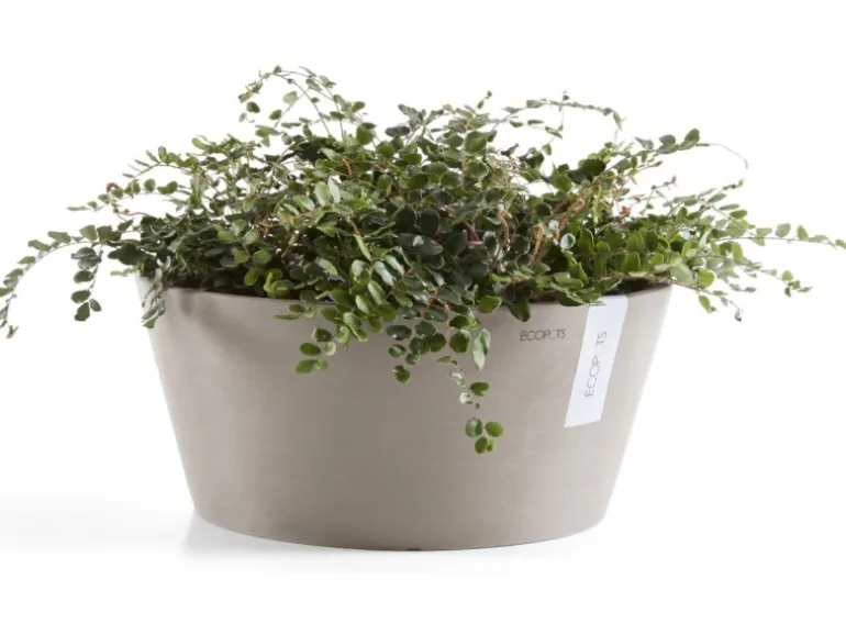 Ecopots Pflanzschale Frankfurt Braungrau 30 cm