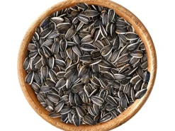 Elles Sonnenblumenkerne 2,5 kg