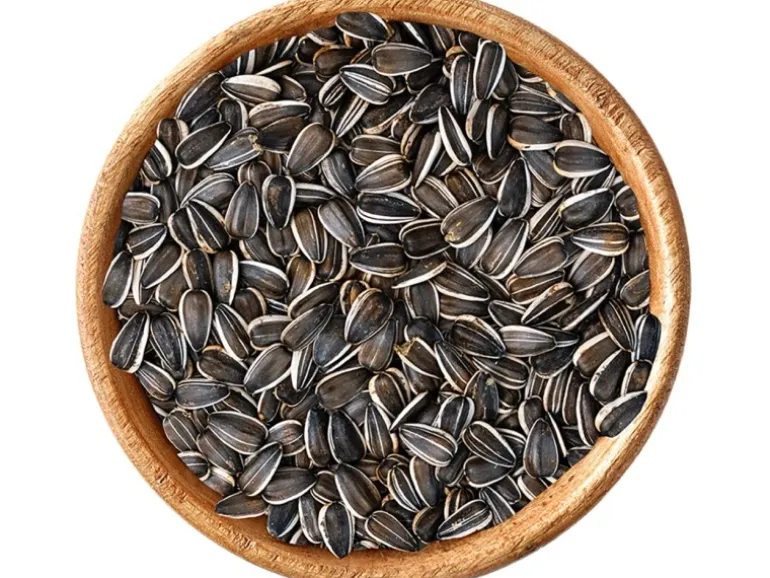 Elles Sonnenblumenkerne 2,5 kg