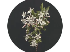 ESTAhome Selbstklebende Runde Tapete Blüte Hellrosa und Schwarz Ø 70 cm 158992