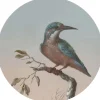 ESTAhome Selbstklebende Runde Tapete Eisvogel Auf Zweig Abendrot Ø 140 cm 159017
