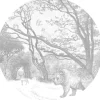 ESTAhome Selbstklebende Runde Tapete Wald Mit Waldtieren Grau Ø 70 cm 159070