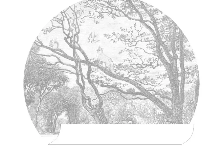 ESTAhome Selbstklebende Runde Tapete Wald Mit Waldtieren Grau Ø 70 cm 159070
