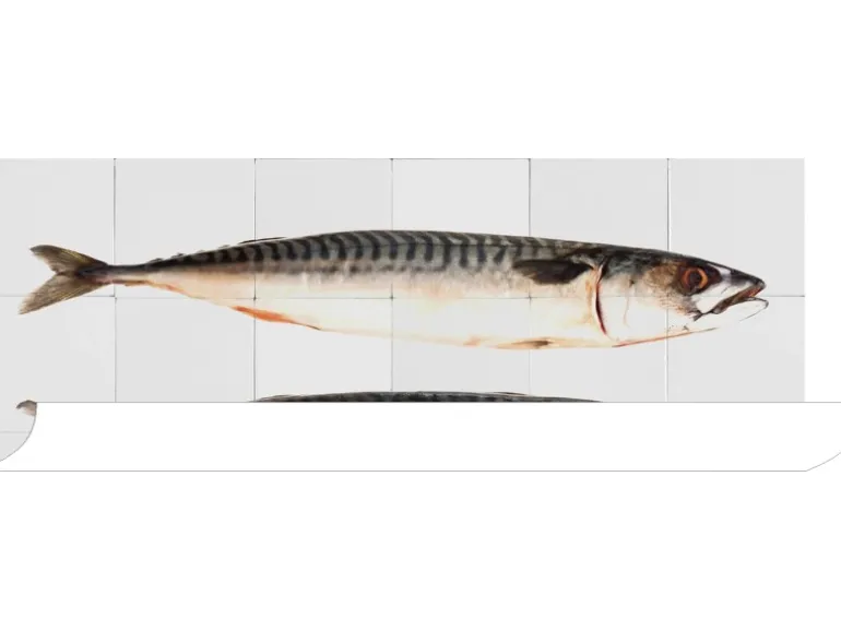 ESTAhome Wandtattoo Fische Grau 97 x 48,5 cm 159030