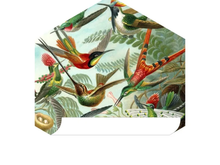 ESTAhome Wandtattoo Vögel Dschungelgrün 70 x 81 cm 158999