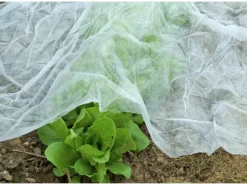 Floraworld Garten-/Wintervlies 10 m x 1,5 m