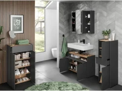 Germania Kommode Forano 4499 Graphit Eiche 56 cm x 98 cm x 34 cm