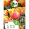GROW by OBI Tulpe Lambada Orange 5 Stück Tulipa fringed Lambada