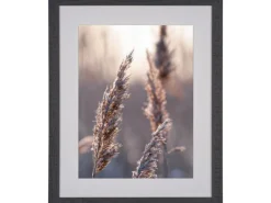 Holzbilderrahmen Schwarz Breit 40 cm x 50 cm