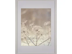 Holzbilderrahmen Weiß Breit 50 cm x 70 cm