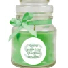 HS Candle Duftkerze & Glas Sternzeichen Coconut Limes 30 Stunden Krebs