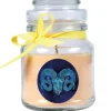 HS Candle Duftkerze & Glas Sternzeichen Vanille 30 Stunden Widder