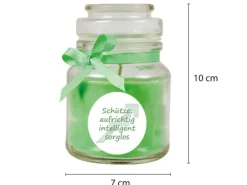 HS Candle Duftkerze & Glas Sternzeichen Coconut Limes 30 Stunden Schütze