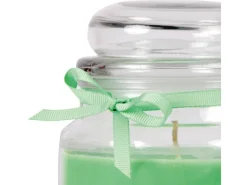 HS Candle Duftkerze & Glas Sternzeichen Coconut Limes 110 Stunden Krebs