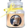 HS Candle Duftkerze & Glas Genesung Gelb Vanille