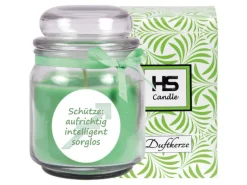 HS Candle Duftkerze & Glas Sternzeichen Coconut Limes 70 Stunden Schütze