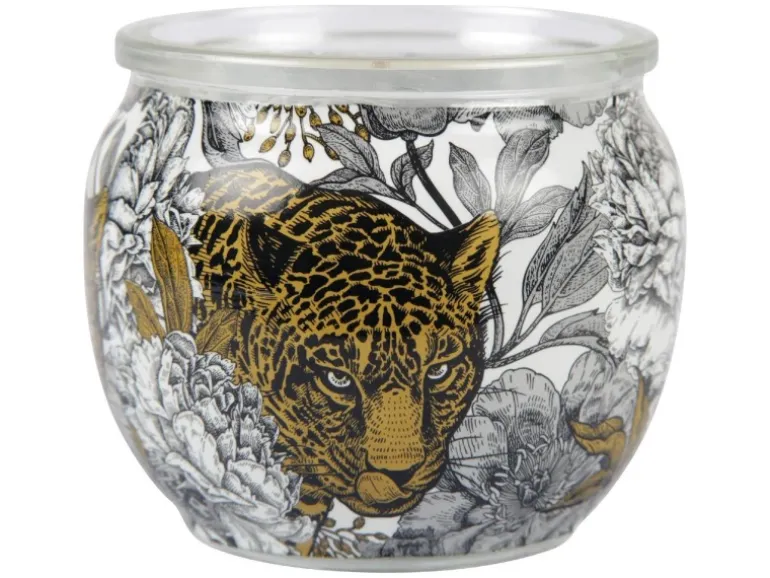 HS Candle Duftkerze Motiv Kerze Raumduft AntiTabak Ginger Lime