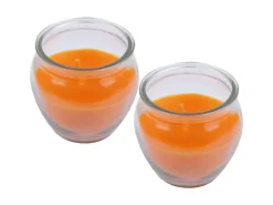 HS Candle Duftkerzen Creation 10er Pack Mango Sorbet
