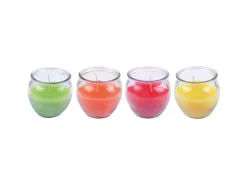 HS Candle Duftkerzen Selection 4 Kerzen Mix Fruit Selection