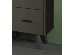 Inn.Furn Vitrine in Grau Matt 58 x 195 cm Madea