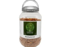 Insektus Mehlwürmer 5 Liter