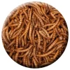 Insektus Mehlwürmer im Pe-Beutel 5 Liter