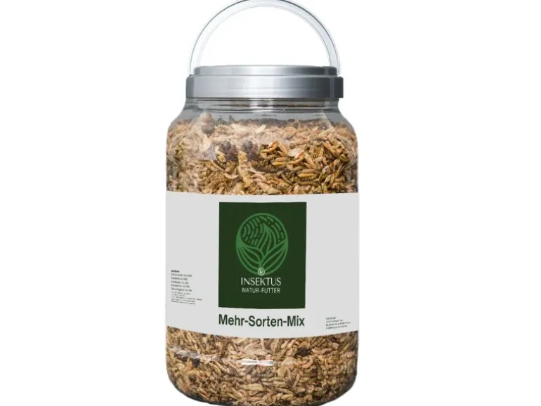 Insektus Mehr Sorten Mix Koifutter 5 Liter