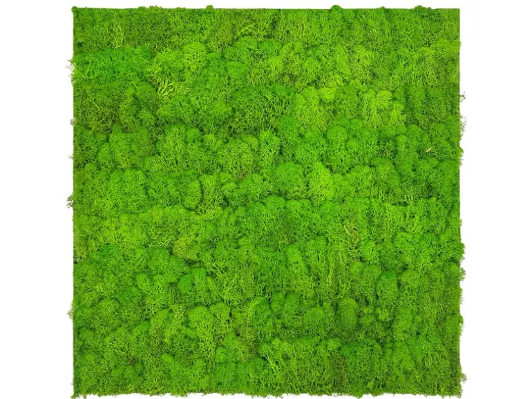 Jangal Wandpaneel Modular Wall Bright Green Moos 52 x 52 cm