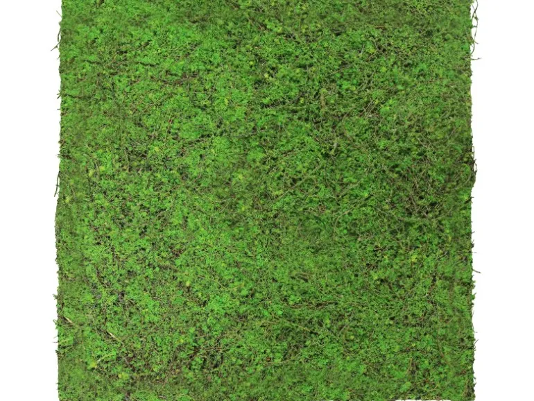 Jangal Wandpaneel Modular Wall Forest Green Ancient Tree 52 x 52 cm