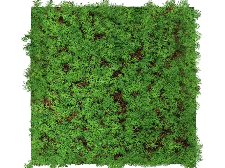 Jangal Wandpaneel Modular Wall Thuja Tea Tree 52 x 52 cm