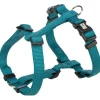 Jollypaw Gurtband H-Geschirr 75 - 100 cm x 25 mm Petrol