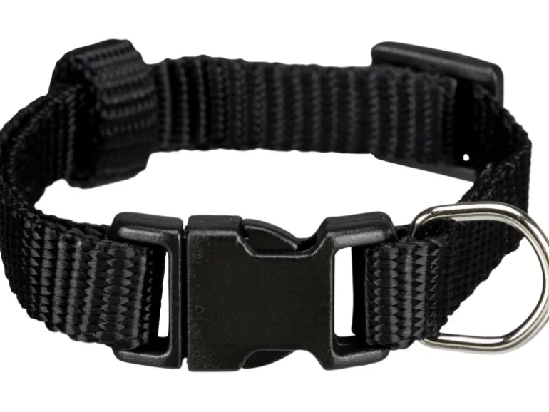 Jollypaw Halsband XS-S 22-35 cm 10 mm Schwarz
