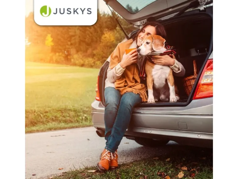 Juskys Faltbare Hundetransportbox Lassie L Dunkelgrau