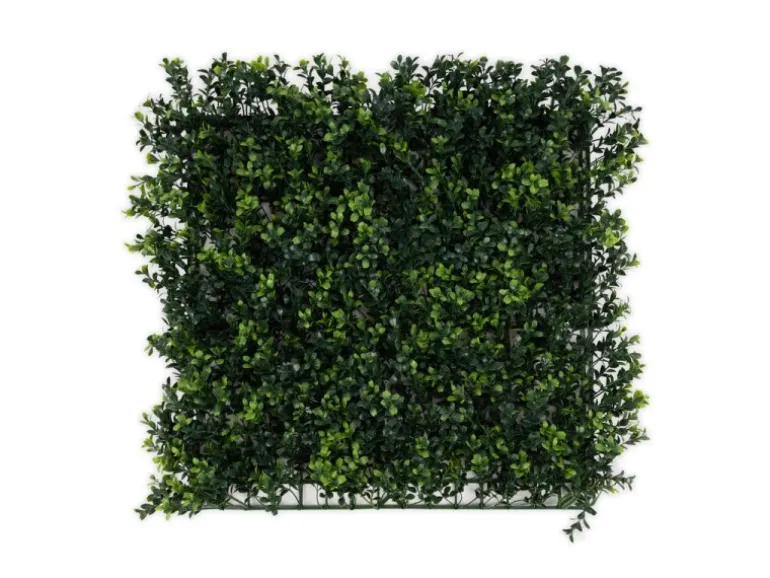 KARAT Pflanzenwand Boxwood Kunstpflanze zur Dekoration 50 x 50 cm