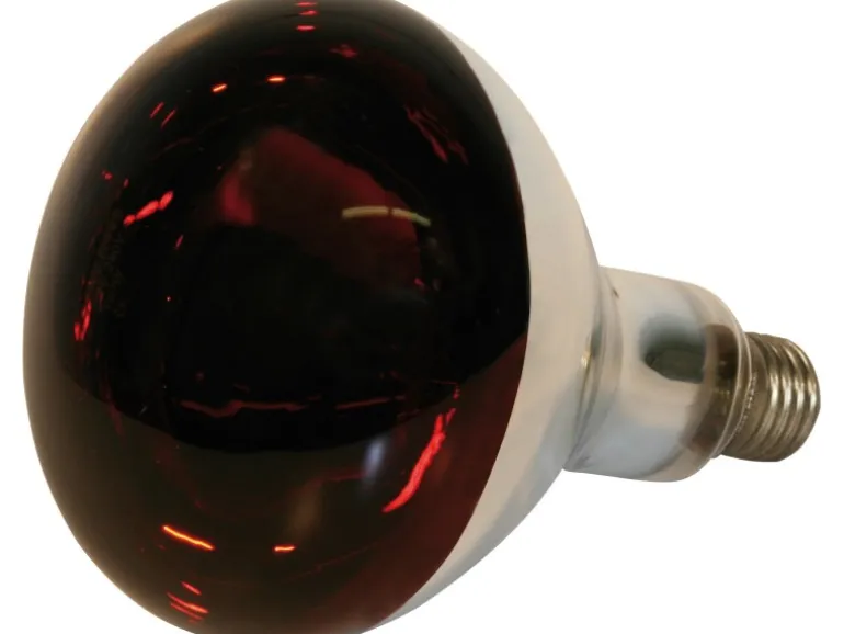 Kerbl Hartglas-Infrarotlampe 250 W