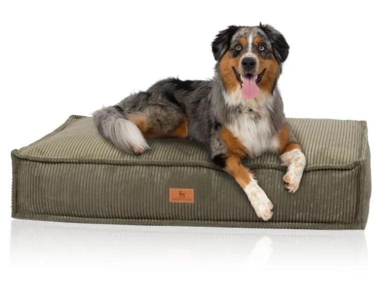 Knuffelwuff Hundekissen Lesedi Cord 80x60cm Khaki