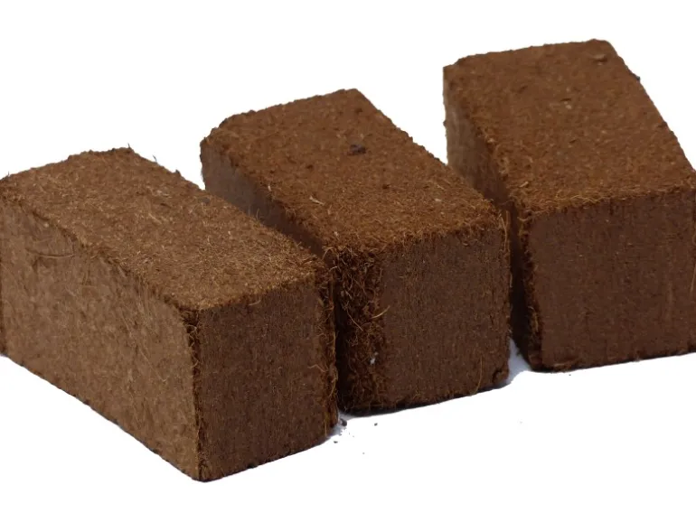 Kokosfaser Ziegel mini - Bodengrund für Terrarien, Insektarien - 3er Set (3 x 2)