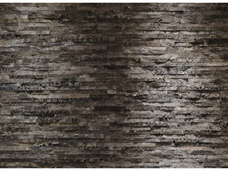 Komar Fototapete Birkenrinde 368 cm x 254 cm FSC®
