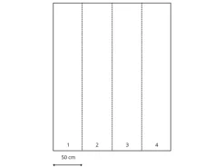Komar Fototapete Herbarium Beige 200 x 250 cm 611187