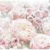 Komar Fototapete Spring Roses 368 x 254 cm