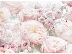Komar Fototapete Spring Roses 368 x 254 cm