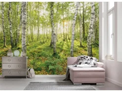 Komar Fototapete Vlies Birch Trees 400 x 250 cm