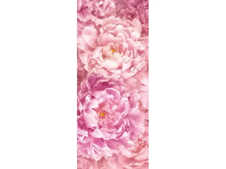 Komar Fototapete Vlies Soave Panel 100 x 250 cm 100 x 250 cm