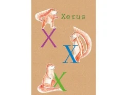 Komar Wandbild ABC Animal X 50 x 70 cm