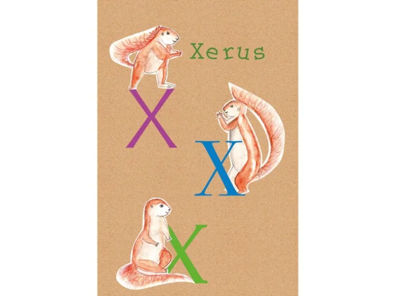 Komar Wandbild ABC Animal X 50 x 70 cm