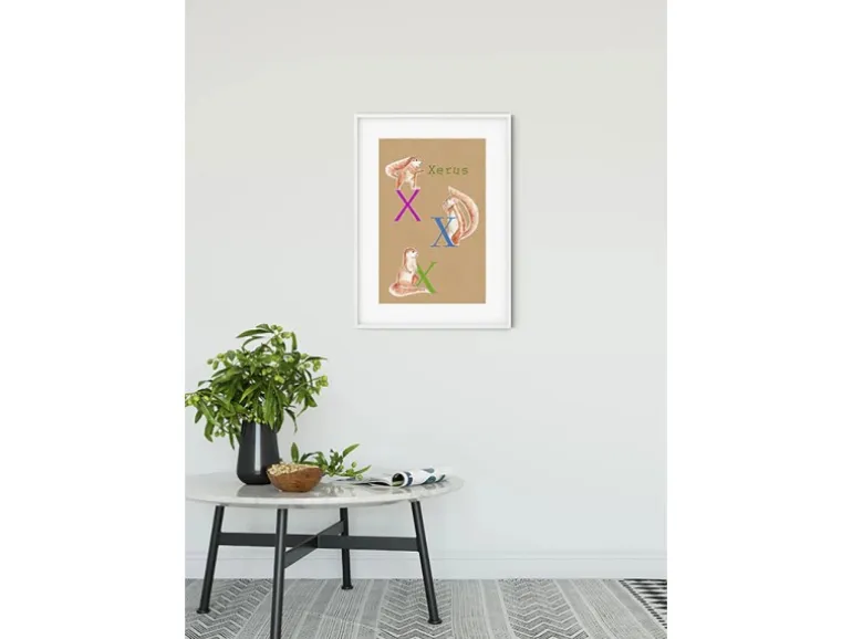 Komar Wandbild ABC Animal X 50 x 70 cm